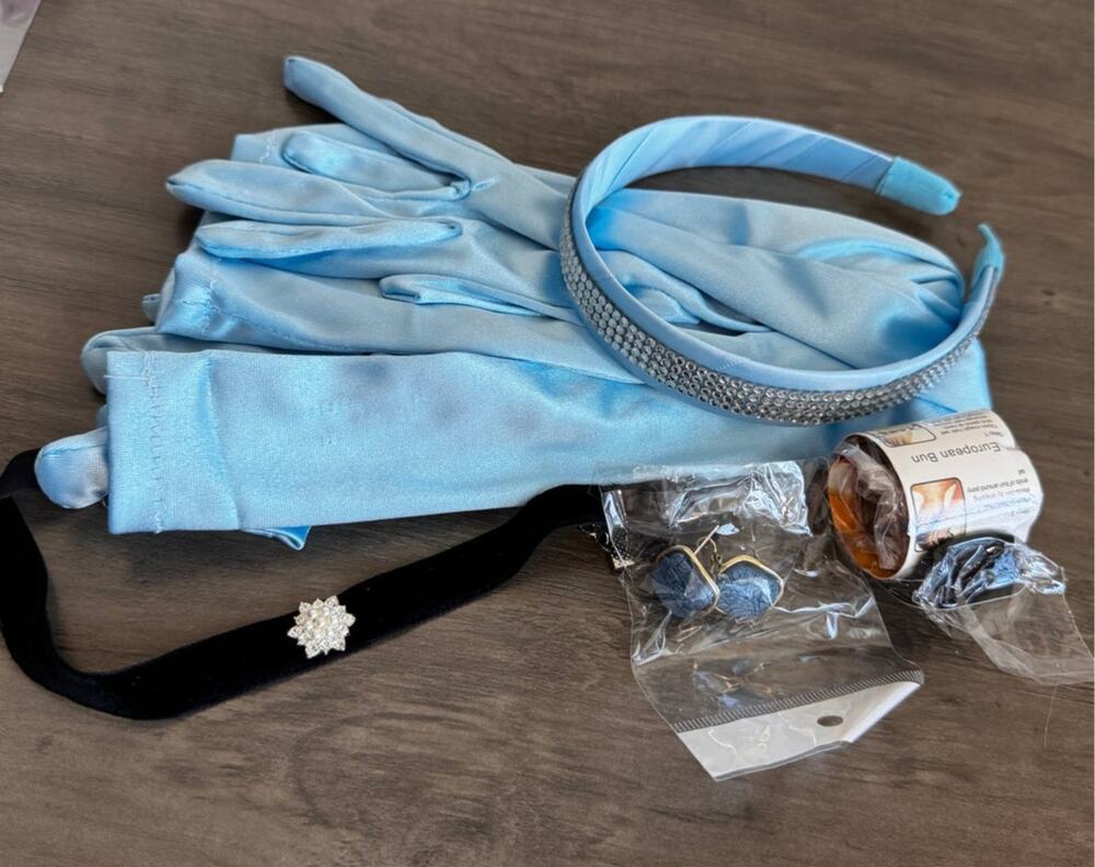 New Adult Cinderella Five (5) Piece Accessory Set ~ Halloween, Cosplay, Party